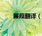 蒹葭翻譯（說一說蒹葭翻譯的簡介）