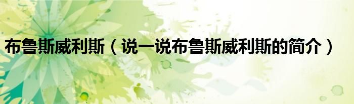 布魯斯威利斯（說一說布魯斯威利斯的簡介）