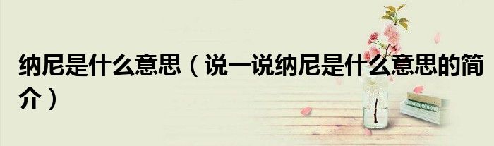 納尼是什么意思（說(shuō)一說(shuō)納尼是什么意思的簡(jiǎn)介）
