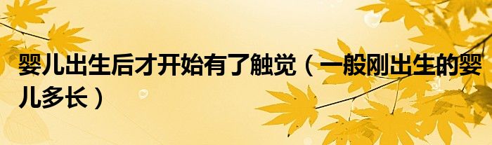 嬰兒出生后才開始有了觸覺（一般剛出生的嬰兒多長）