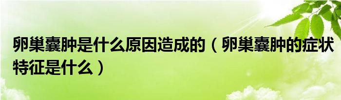 卵巢囊腫是什么原因造成的（卵巢囊腫的癥狀特征是什么）