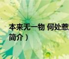 本來無一物 何處惹塵埃（說一說本來無一物 何處惹塵埃的簡介）