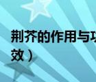 荊芥的作用與功效和副作用（荊芥的作用與功效）