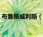 布魯斯威利斯（說一說布魯斯威利斯的簡介）