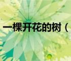 一棵開花的樹（說一說一棵開花的樹的簡介）