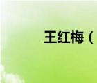 王紅梅（說(shuō)一說(shuō)王紅梅的簡(jiǎn)介）