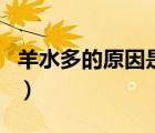 羊水多的原因是什么引起的（羊水是什么樣的）