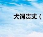犬飼貴丈（說一說犬飼貴丈的簡介）