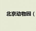 北京動物園（說一說北京動物園的簡介）