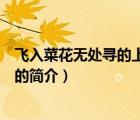 飛入菜花無處尋的上一句（說一說飛入菜花無處尋的上一句的簡介）