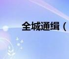 全城通緝（說一說全城通緝的簡(jiǎn)介）