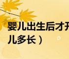 嬰兒出生后才開始有了觸覺（一般剛出生的嬰兒多長）