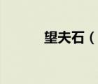 望夫石（說一說望夫石的簡(jiǎn)介）