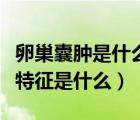 卵巢囊腫是什么原因造成的（卵巢囊腫的癥狀特征是什么）