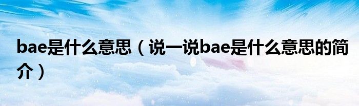 bae是什么意思（說一說bae是什么意思的簡介）