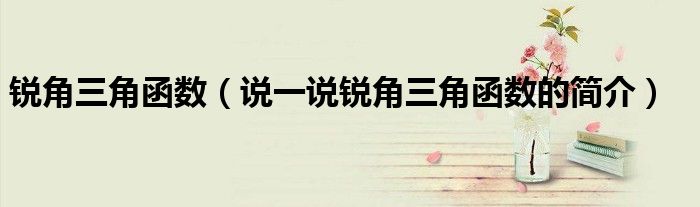 銳角三角函數(shù)（說一說銳角三角函數(shù)的簡介）
