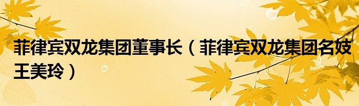 菲律賓雙龍集團(tuán)董事長(zhǎng)（菲律賓雙龍集團(tuán)名妓王美玲）