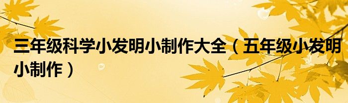 三年級科學小發(fā)明小制作大全（五年級小發(fā)明小制作）