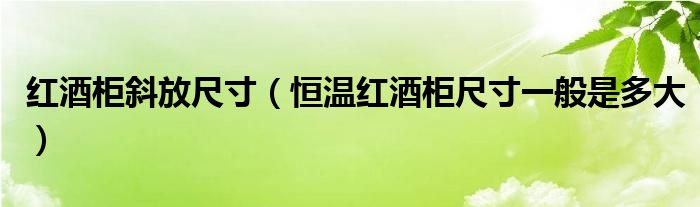 紅酒柜斜放尺寸（恒溫紅酒柜尺寸一般是多大）