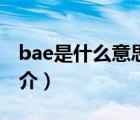 bae是什么意思（說(shuō)一說(shuō)bae是什么意思的簡(jiǎn)介）