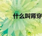 什么叫腎穿刺檢查（什么叫腎穿刺）