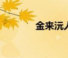 金來沅人品（金來沅的妻子）