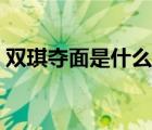 雙琪奪面是什么意思（雙琪奪面事件全過程）
