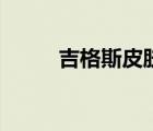 吉格斯皮膚哪個好（吉格斯皮膚）