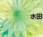 水田衣 簡(jiǎn)介（水田衣）