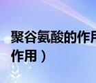 聚谷氨酸的作用機(jī)理（聚谷氨酸在化妝品中的作用）