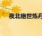夜北絕世煉丹師txt（夜北絕世煉丹師）
