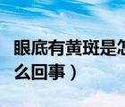眼底有黃斑是怎么回事（白眼球上有黃斑是怎么回事）