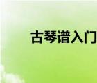 古琴譜入門簡(jiǎn)單歌曲（古琴譜入門）