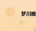 夢(mèng)川唯夢(mèng)川正午（夢(mèng)川唯）