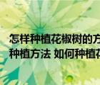 怎樣種植花椒樹的方法視頻教程（花椒種植技術(shù)視頻 花椒的種植方法 如何種植花椒樹）