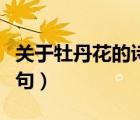 關(guān)于牡丹花的詩(shī)句古詩(shī)唯美（關(guān)于牡丹花的詩(shī)句）