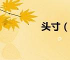 頭寸（說(shuō)一說(shuō)頭寸的簡(jiǎn)介）