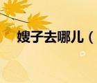 嫂子去哪兒（說(shuō)一說(shuō)嫂子去哪兒的簡(jiǎn)介）