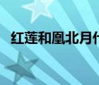 紅蓮和凰北月什么關(guān)系（沈未凝和凰北月）