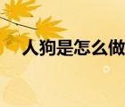 人狗是怎么做到的（狗是怎么樣曰人的）