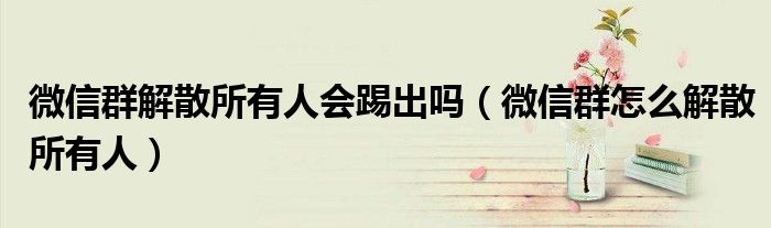 微信群解散所有人會(huì)踢出嗎（微信群怎么解散所有人）