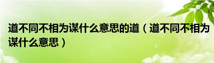 道不同不相為謀什么意思的道（道不同不相為謀什么意思）