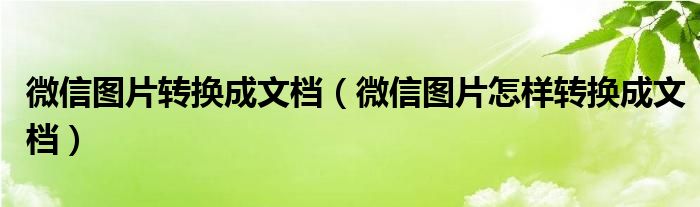 微信圖片轉(zhuǎn)換成文檔（微信圖片怎樣轉(zhuǎn)換成文檔）