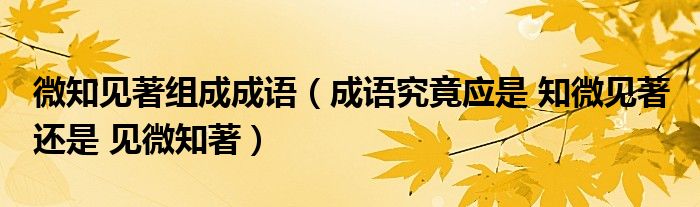 微知見著組成成語（成語究竟應是 知微見著 還是 見微知著）