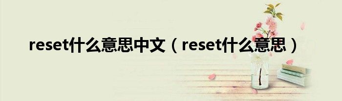 reset什么意思中文（reset什么意思）