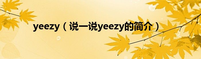 yeezy（說一說yeezy的簡介）