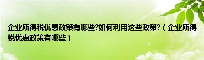 企業(yè)所得稅優(yōu)惠政策有哪些?如何利用這些政策?（企業(yè)所得稅優(yōu)惠政策有哪些）