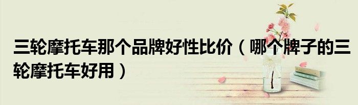三輪摩托車那個品牌好性比價（哪個牌子的三輪摩托車好用）