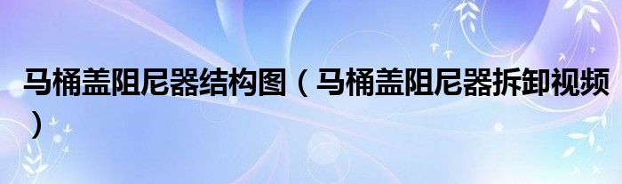馬桶蓋阻尼器結(jié)構(gòu)圖（馬桶蓋阻尼器拆卸視頻）