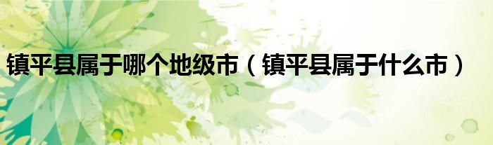 鎮(zhèn)平縣屬于哪個(gè)地級(jí)市（鎮(zhèn)平縣屬于什么市）